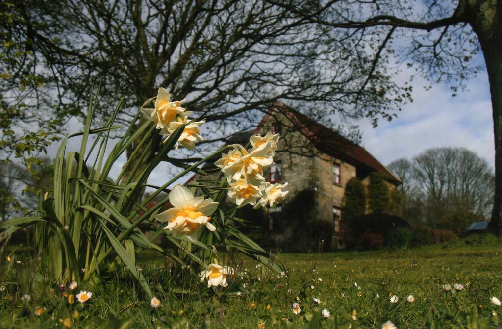High Farm B&B Pickering Exterior foto