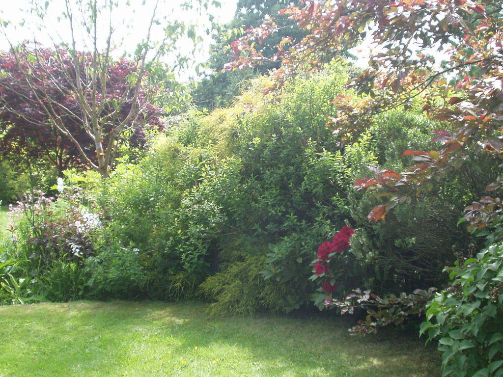 High Farm B&B Pickering Exterior foto